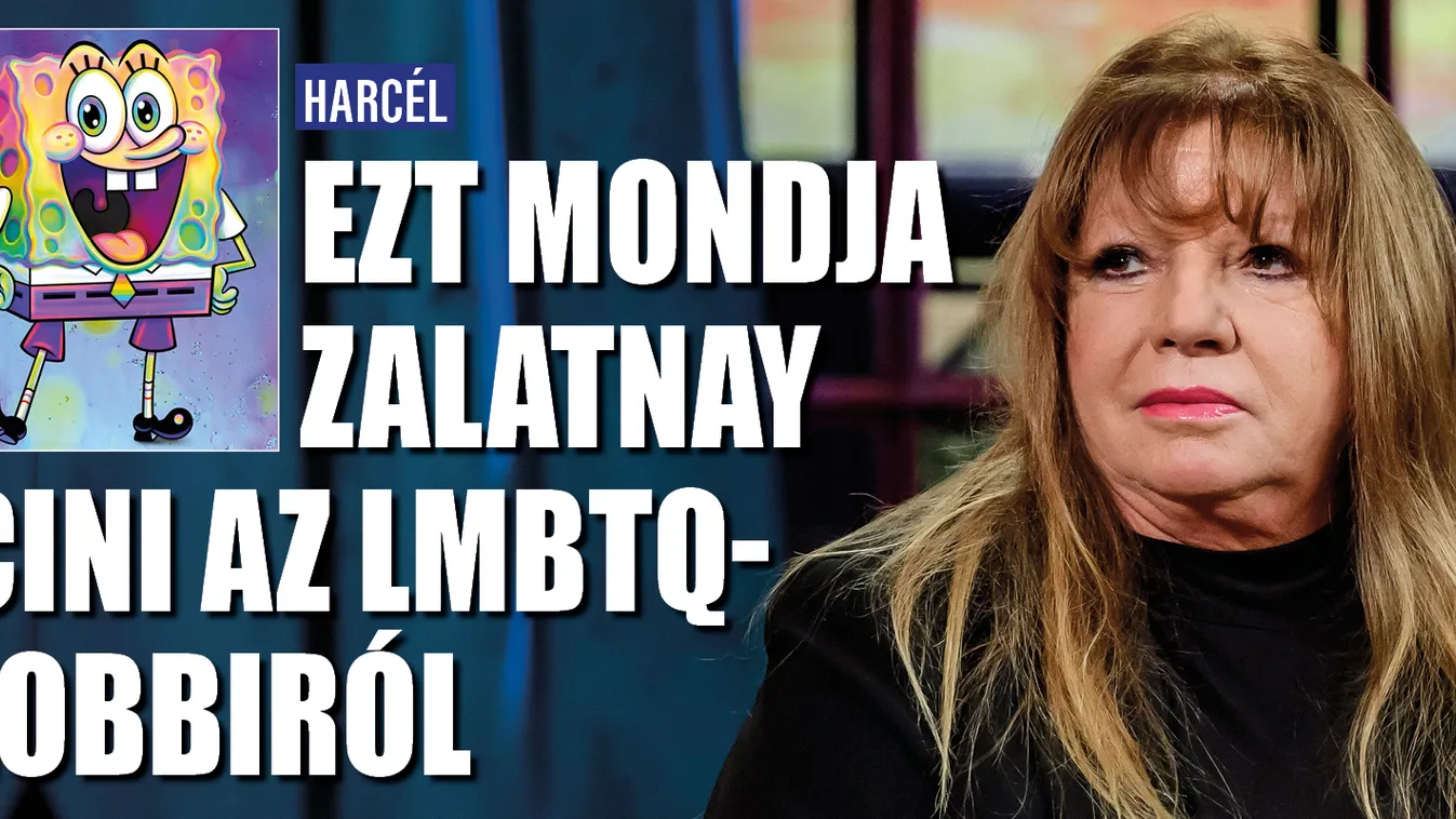 Ezt mondja Zalatnay Sarolta az LMBTQ-lobbiról