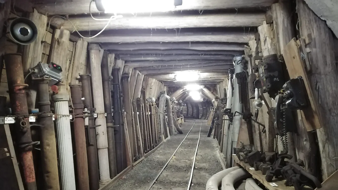 Furcsa örökbefogadási akciót hirdettek Ajkán