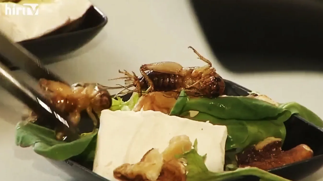 Nem hiszed el, mit akar letolni a torkunkon az EU!