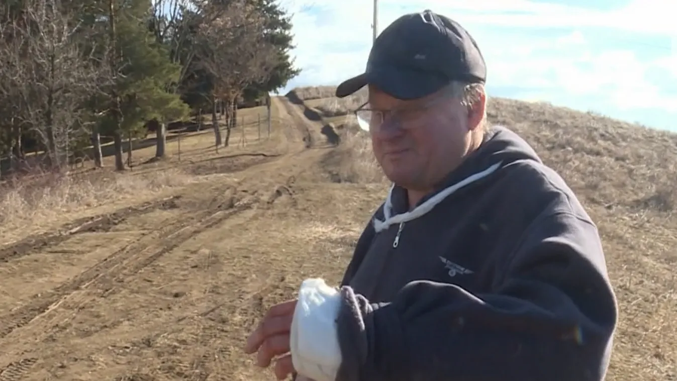 Brutális kutyatámadás szarvaskőnél: a nyugdíjas férfit azonnal műteni kellett