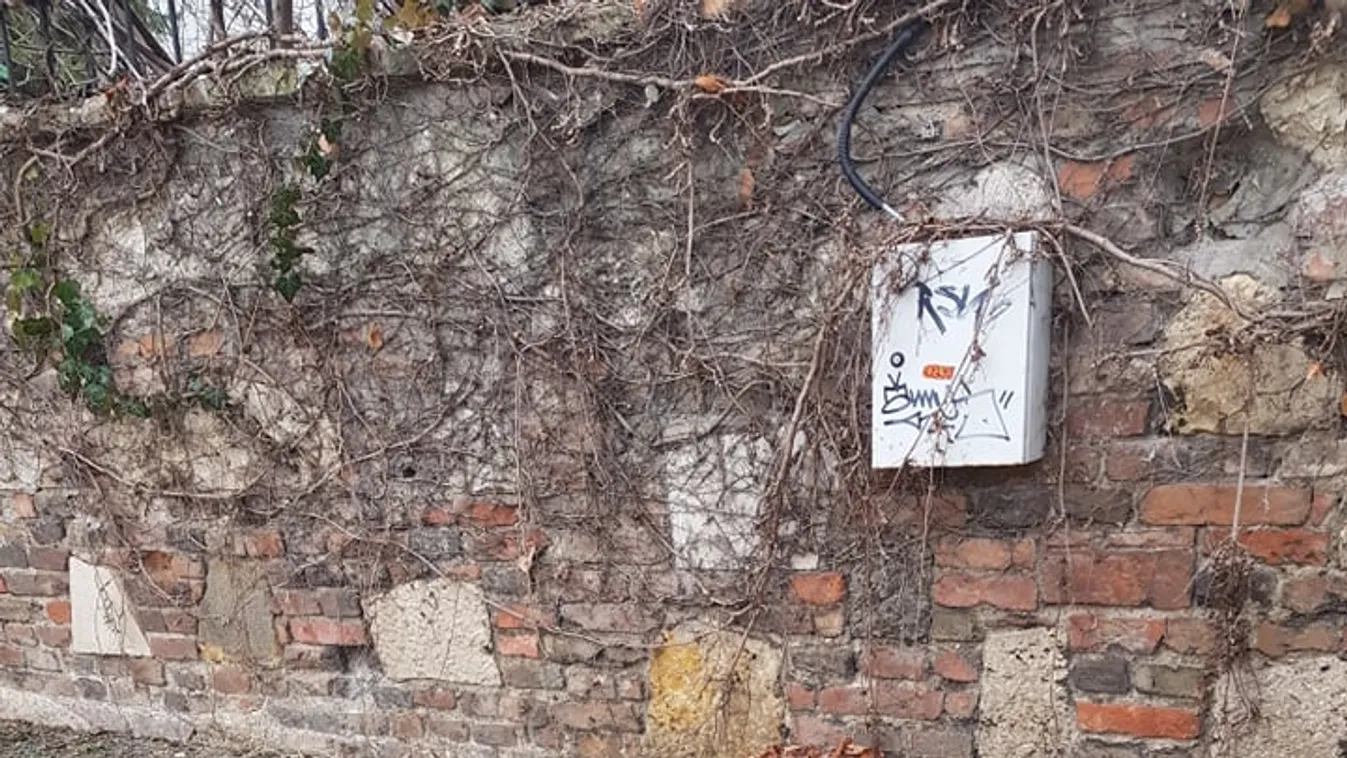 Felkavaró fotók: Pokrócba tekert tetemet találtak Budán