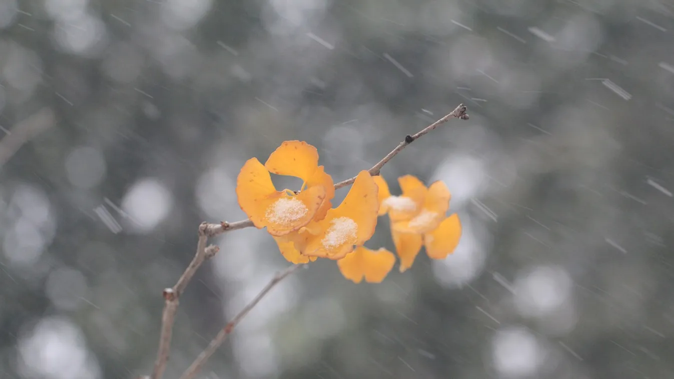 Kegyetlen, mi közelít az ország felé: hózáporral és viharos széllel csap le a hidegfront