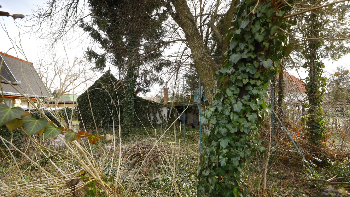 Horrorház lett: Ragadozók lepték el az egykori sorozatgyilkos otthonát