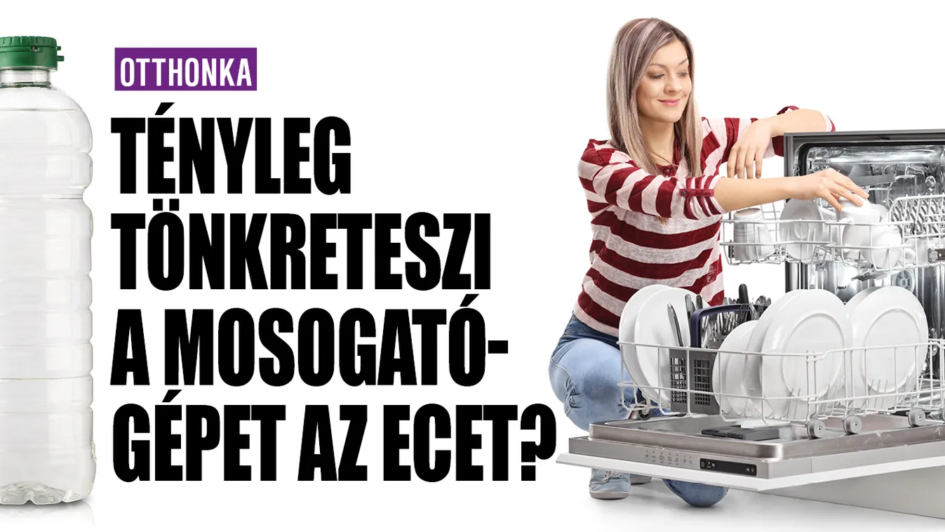 Tényleg tönkreteszi a mosogatógépet az ecet?