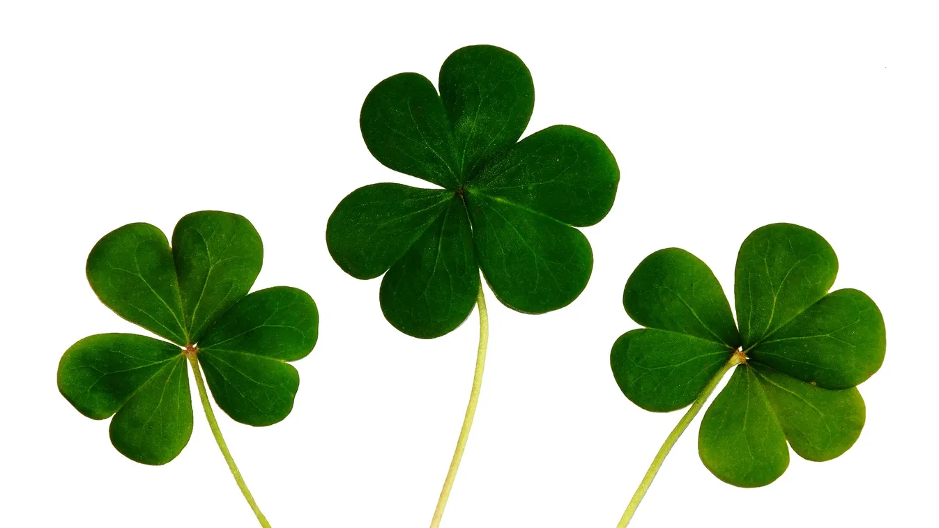 Kiderült, milyen kaparós sorsjegyet szeretnek a magyarok