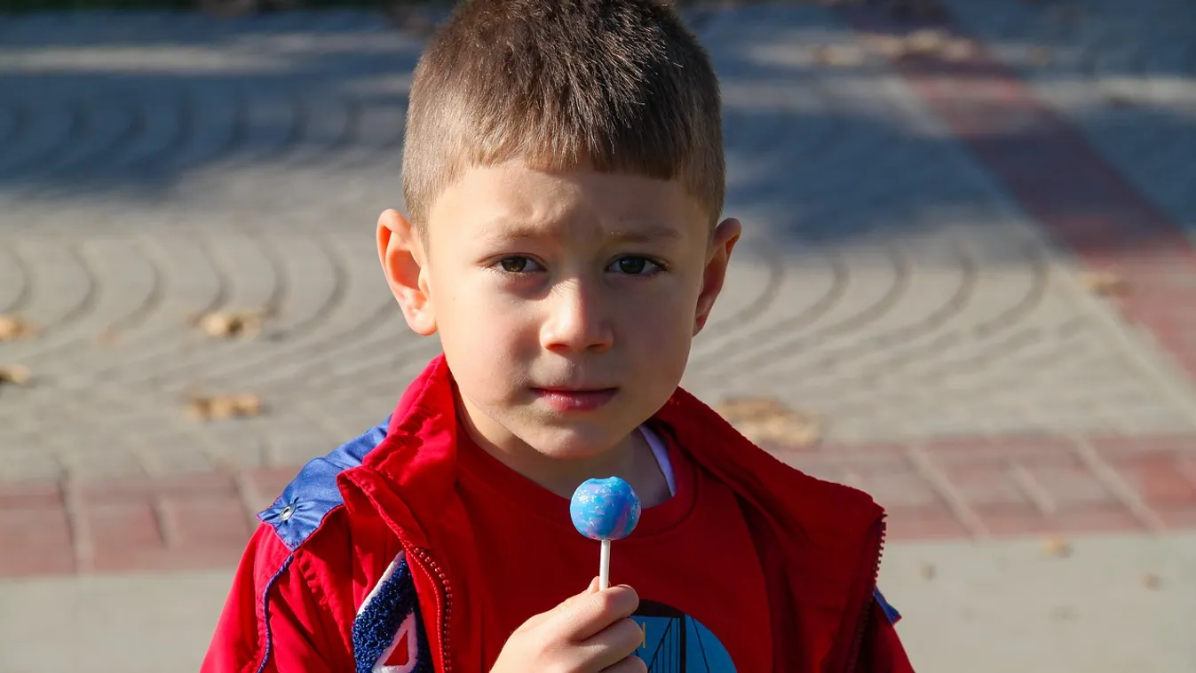 Megvadult kutyafalka támadt rá a 10 éves kisfiúra