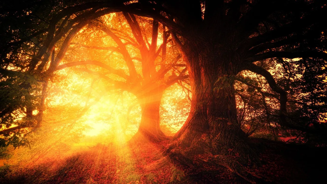 Ettől biztosan fájni fog a fejed