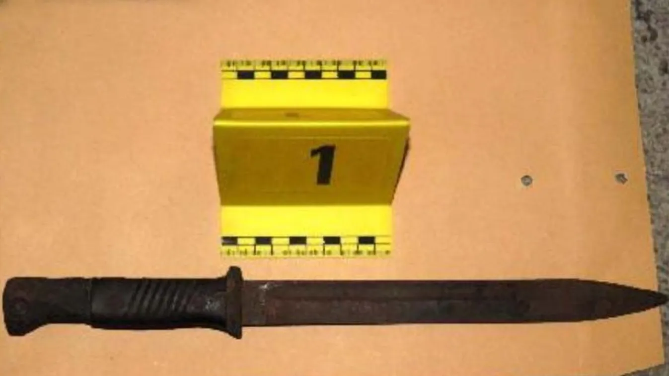 Bajonettel esett a zsaruknak a magyar férfi