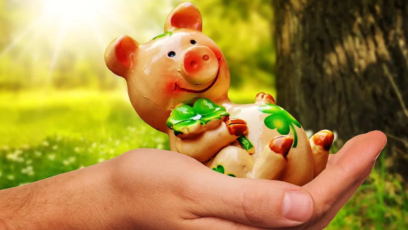 Rámosolyog a szerencse erre a 3 csillagjegyre