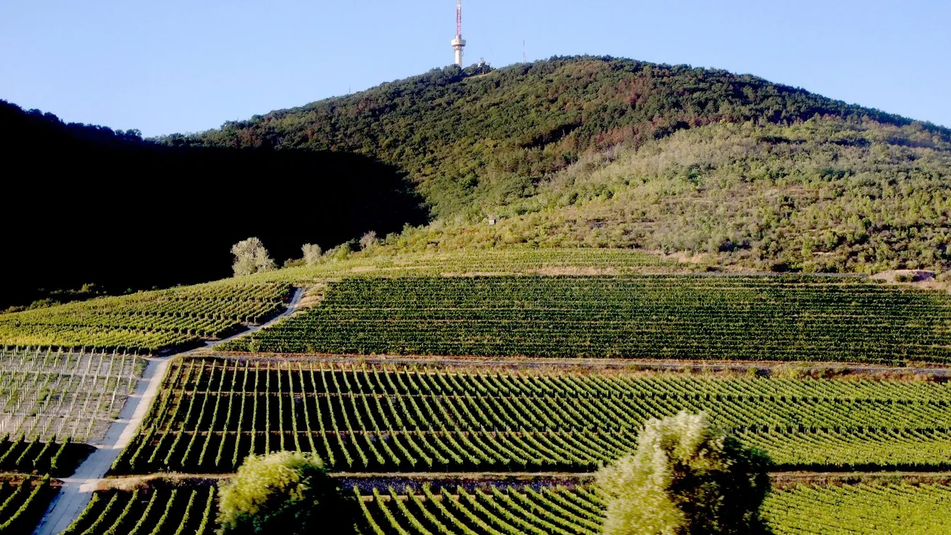 Erre várt mindenki, nagyon jó hír jött az időjárásról