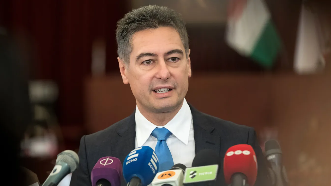 Pálmás medencéje van a zuglói botrány politikusának