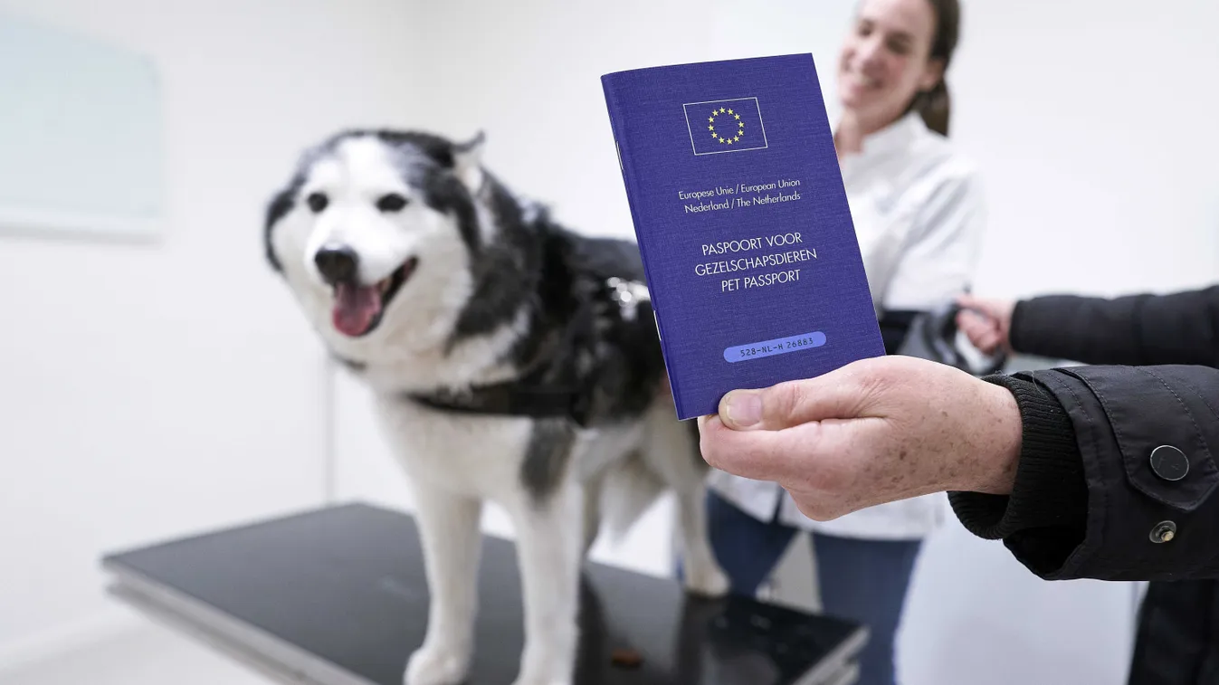 EU-n belül is kell a kisállatútlevél?
