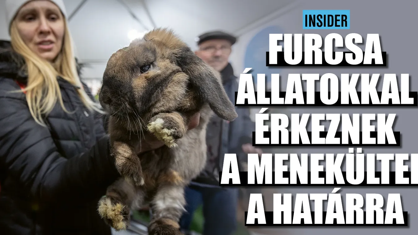 Furcsa állatokkal érkeznek a menekültek a határra
