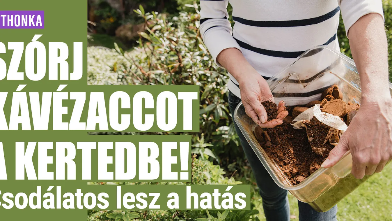 Szórj kávézaccot a kertedbe, csodálatos lesz a hatás
