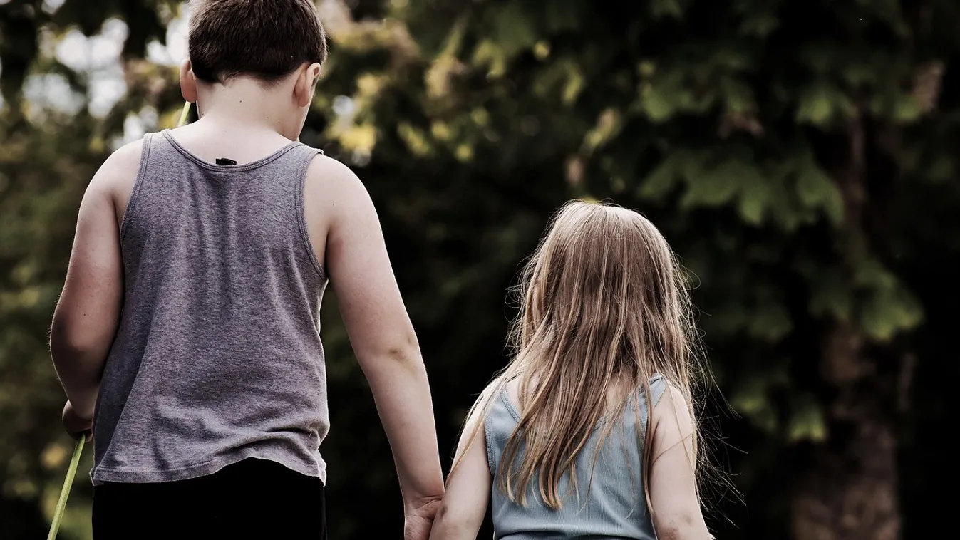 Egy  kislányra és egy fiúra támadt egy megvadult kutya