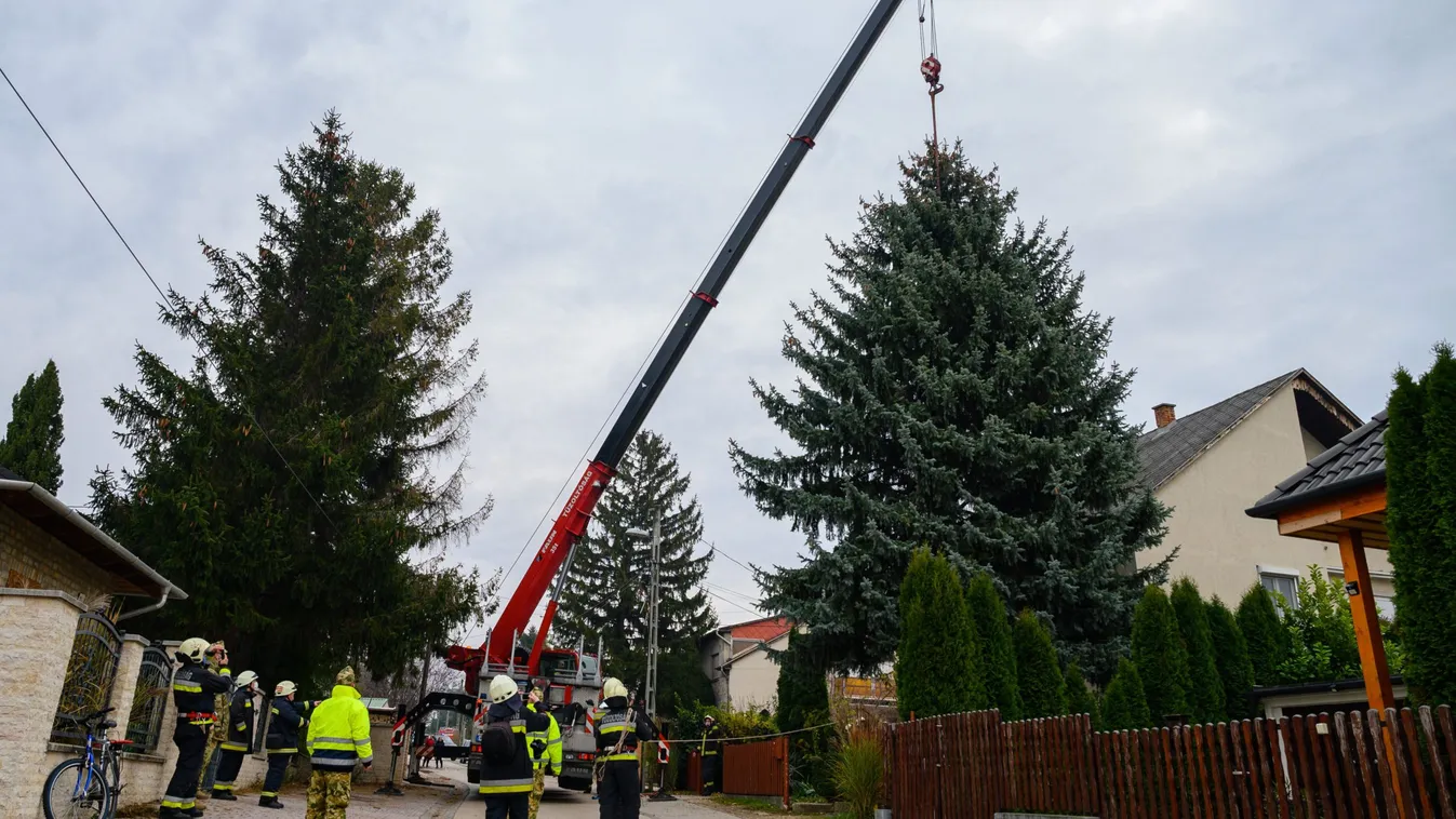 Időutazás márciusban, hihetetlen, mit fotóztak Zuglóban