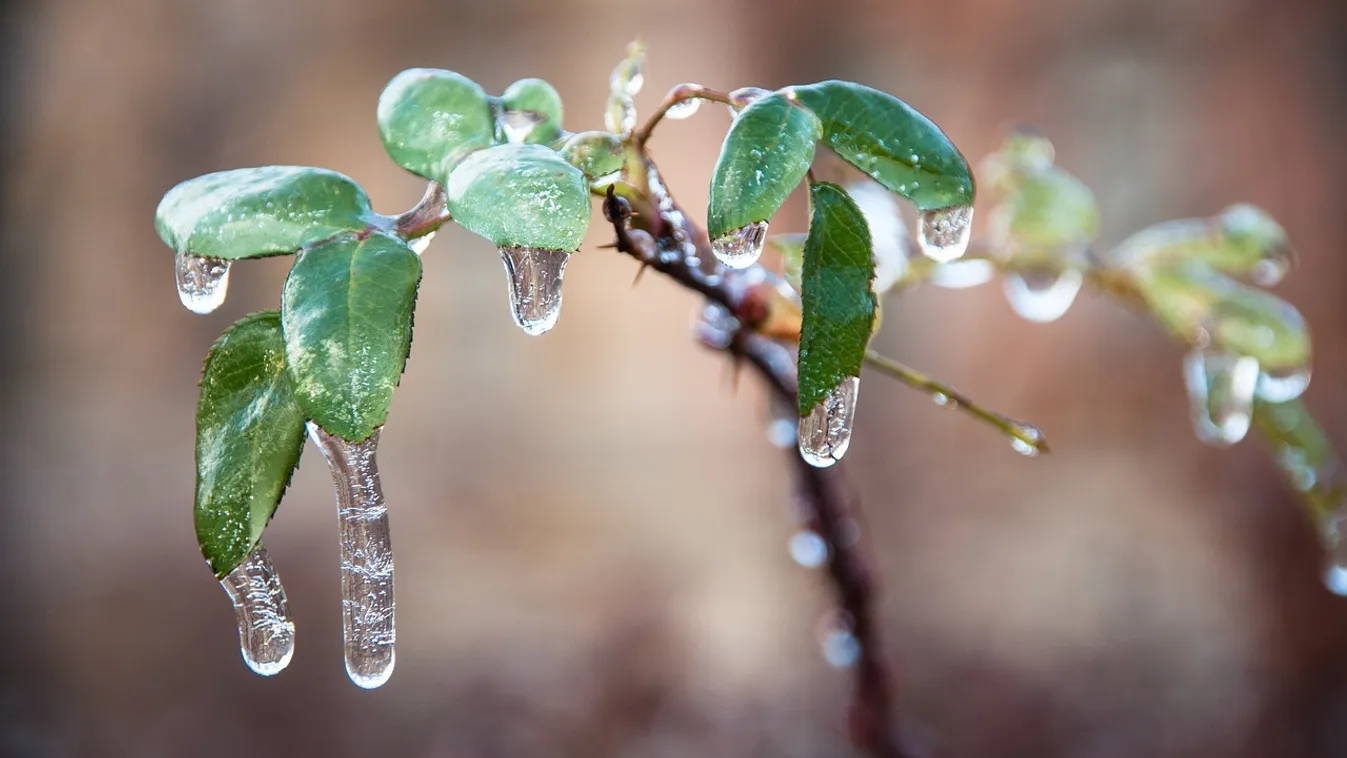 Országos faggyal indul a reggel, mutatjuk, mi jön utána