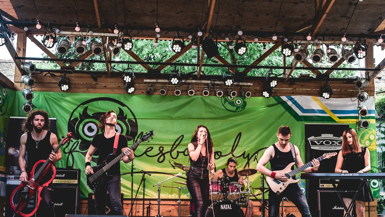 Minden eddiginél nagyobb a tét: tehetséges zenészeket keres a Petőfi Rádió