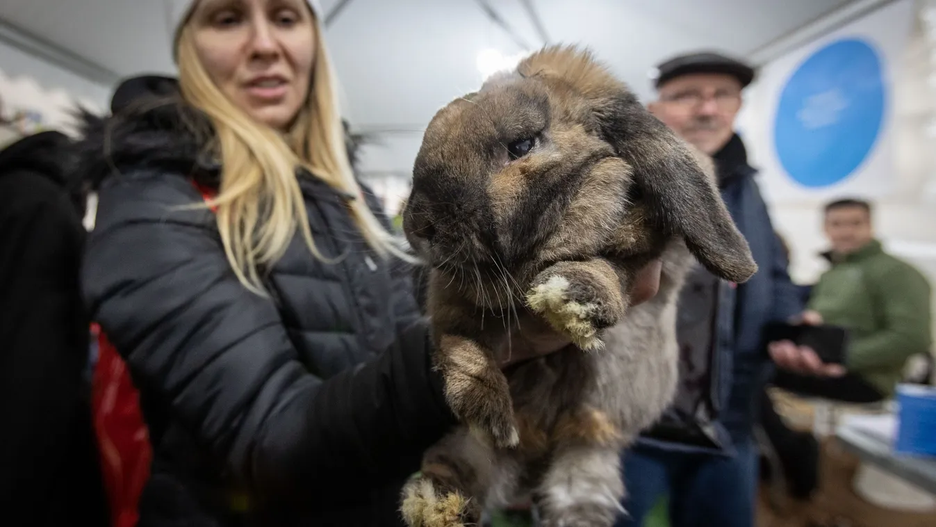 Furcsa állatokkal érkeznek a menekültek a határra