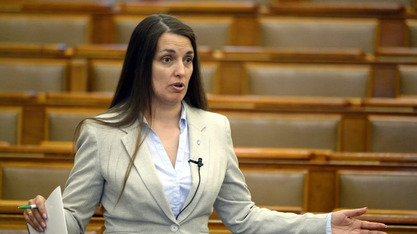 A Jobbik alelnöke elismerte: a baloldal magyar katonákat küldene Ukrajnába