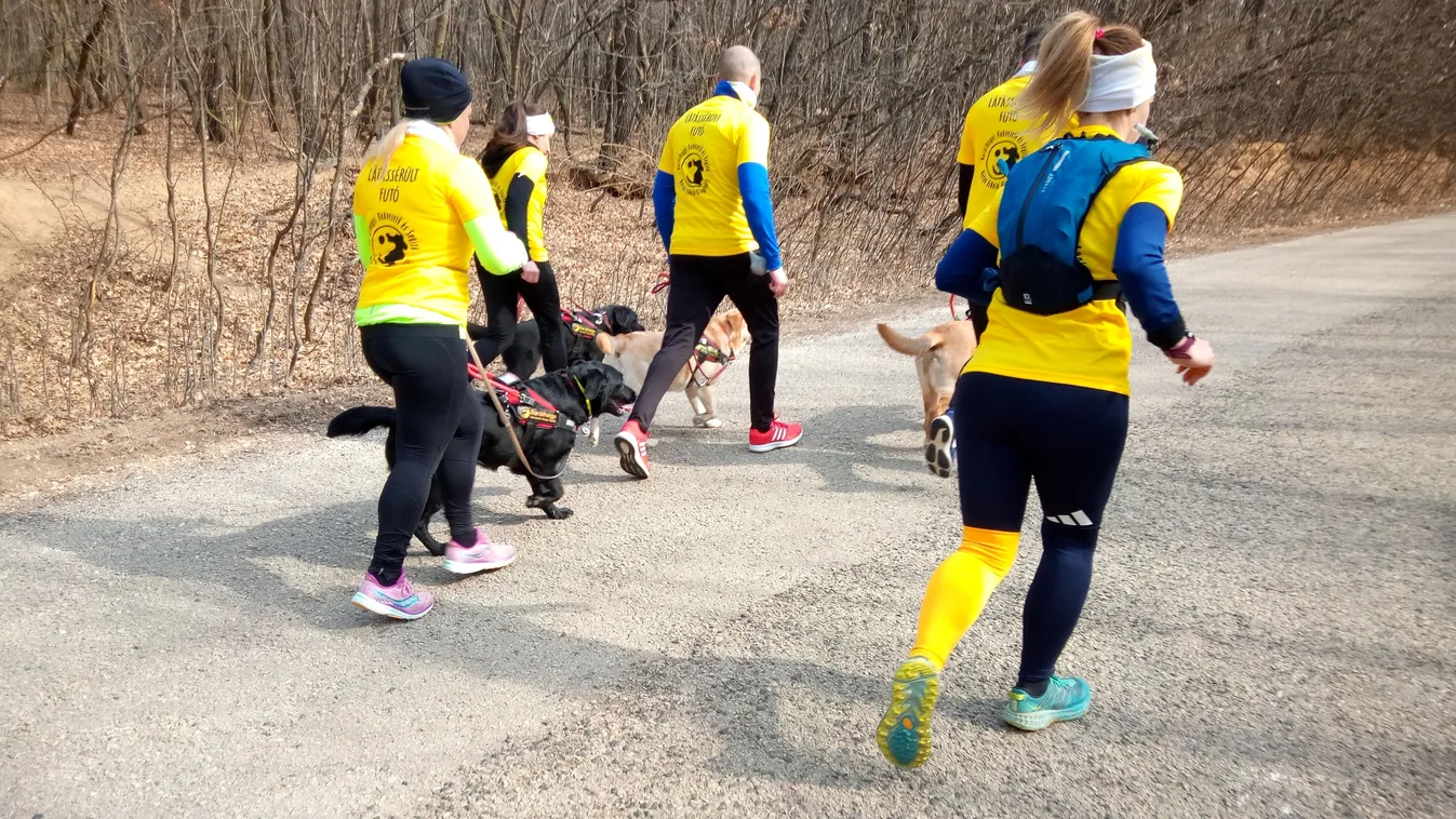 Hoppá, ilyet még te sem láttál Magyarországon