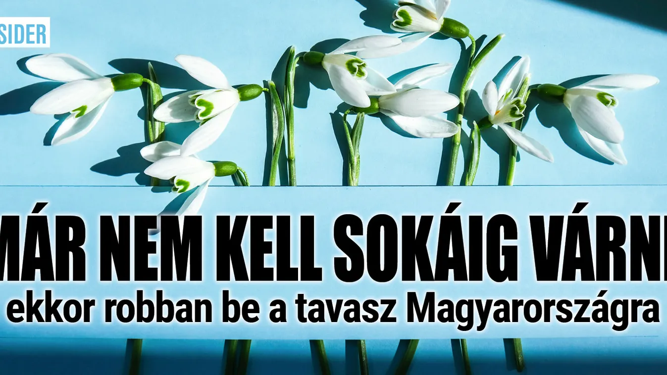 Már nem kell sokáig várni, ekkor robban be a tavasz