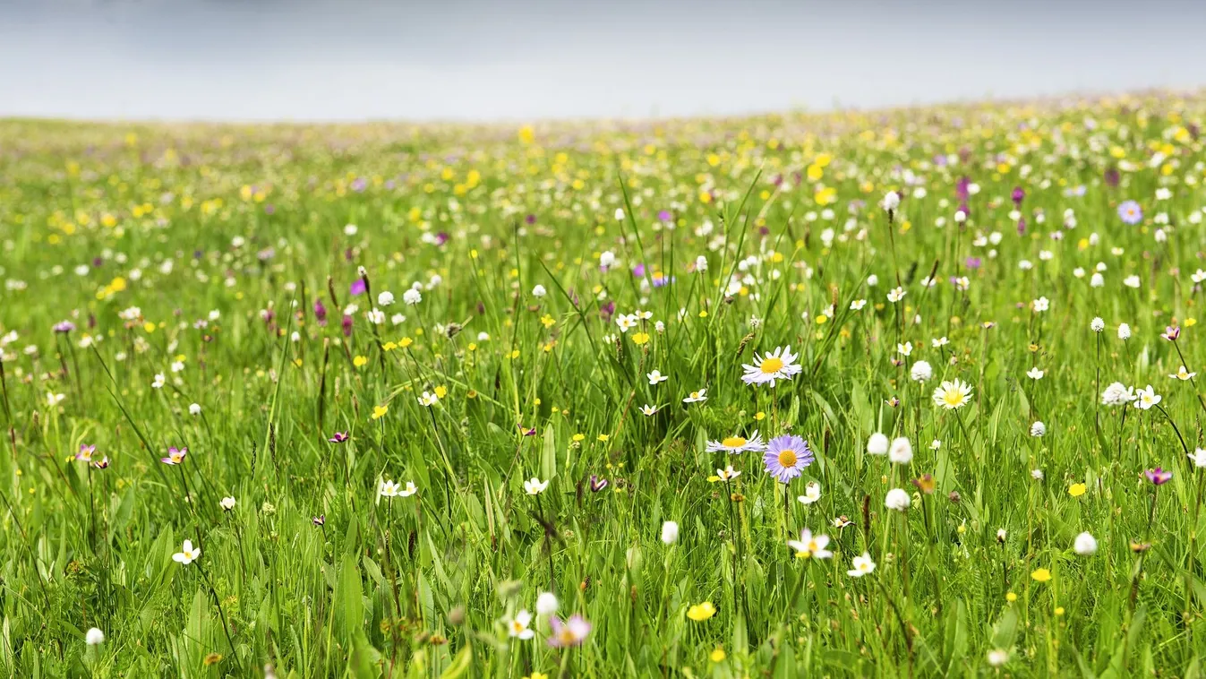 Ez már biztos: ekkor érkezik az igazi tavasz