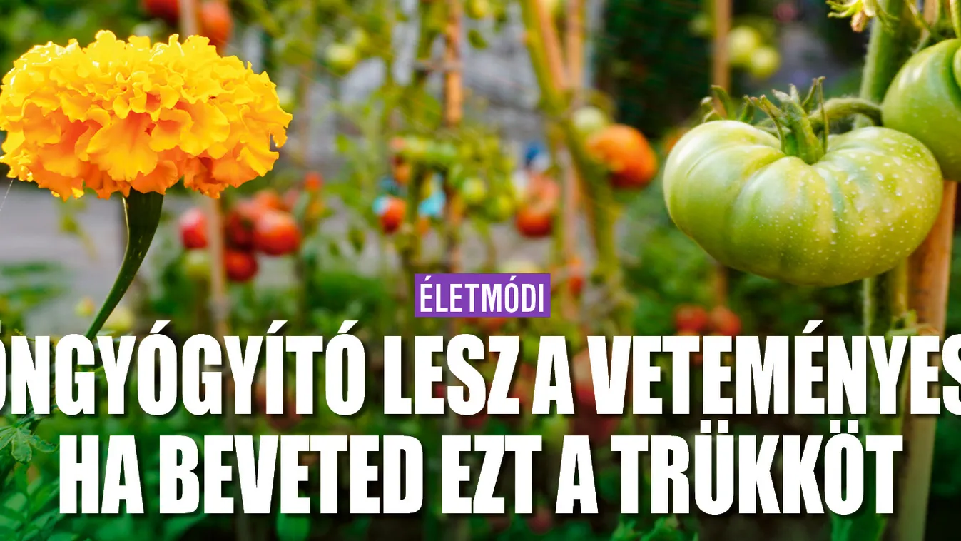 Öngyógyító lesz a veteményes ettől a trükktől