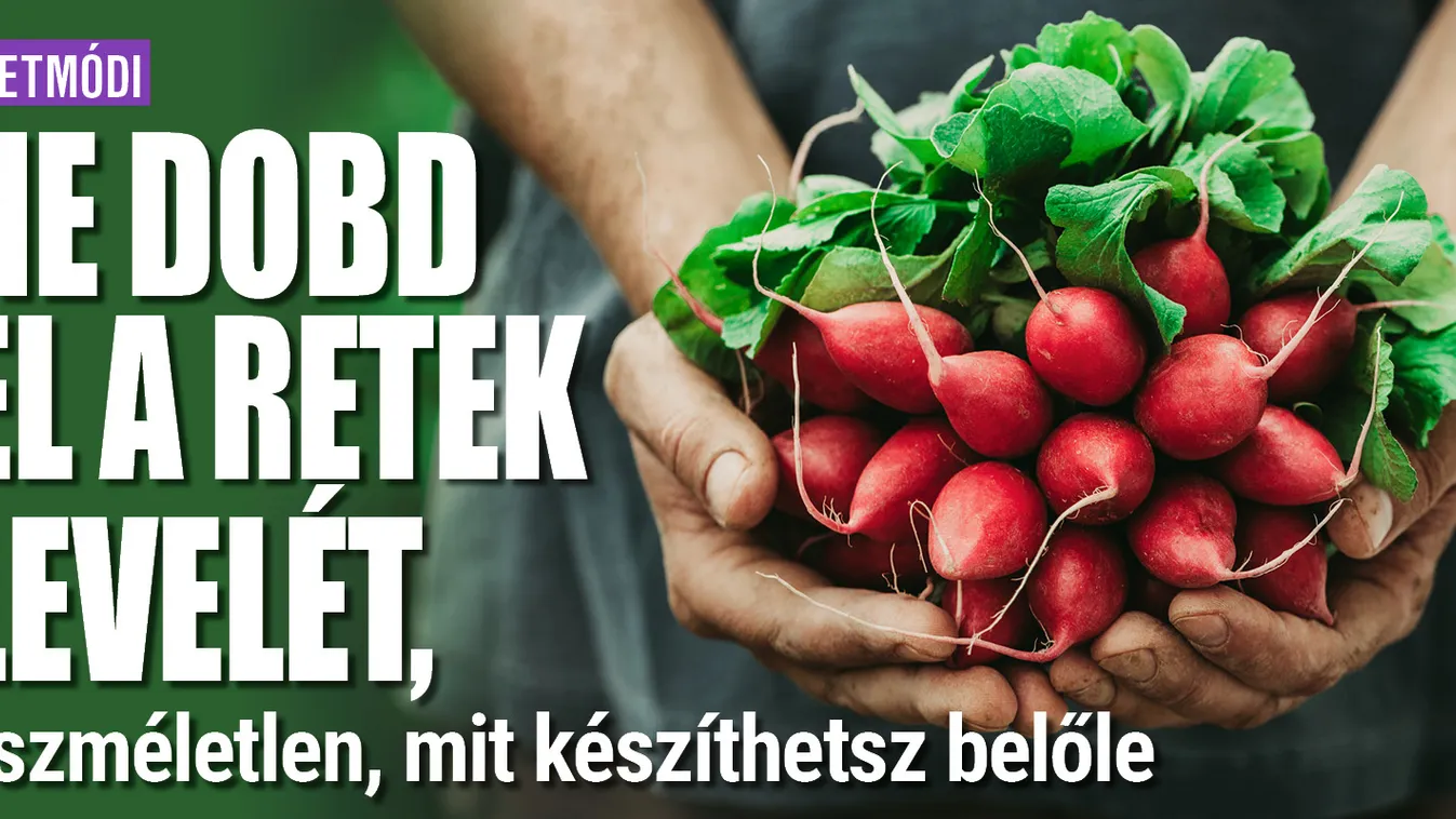 Ne dobd ki a retek levelét: fantasztikus mire használhatod