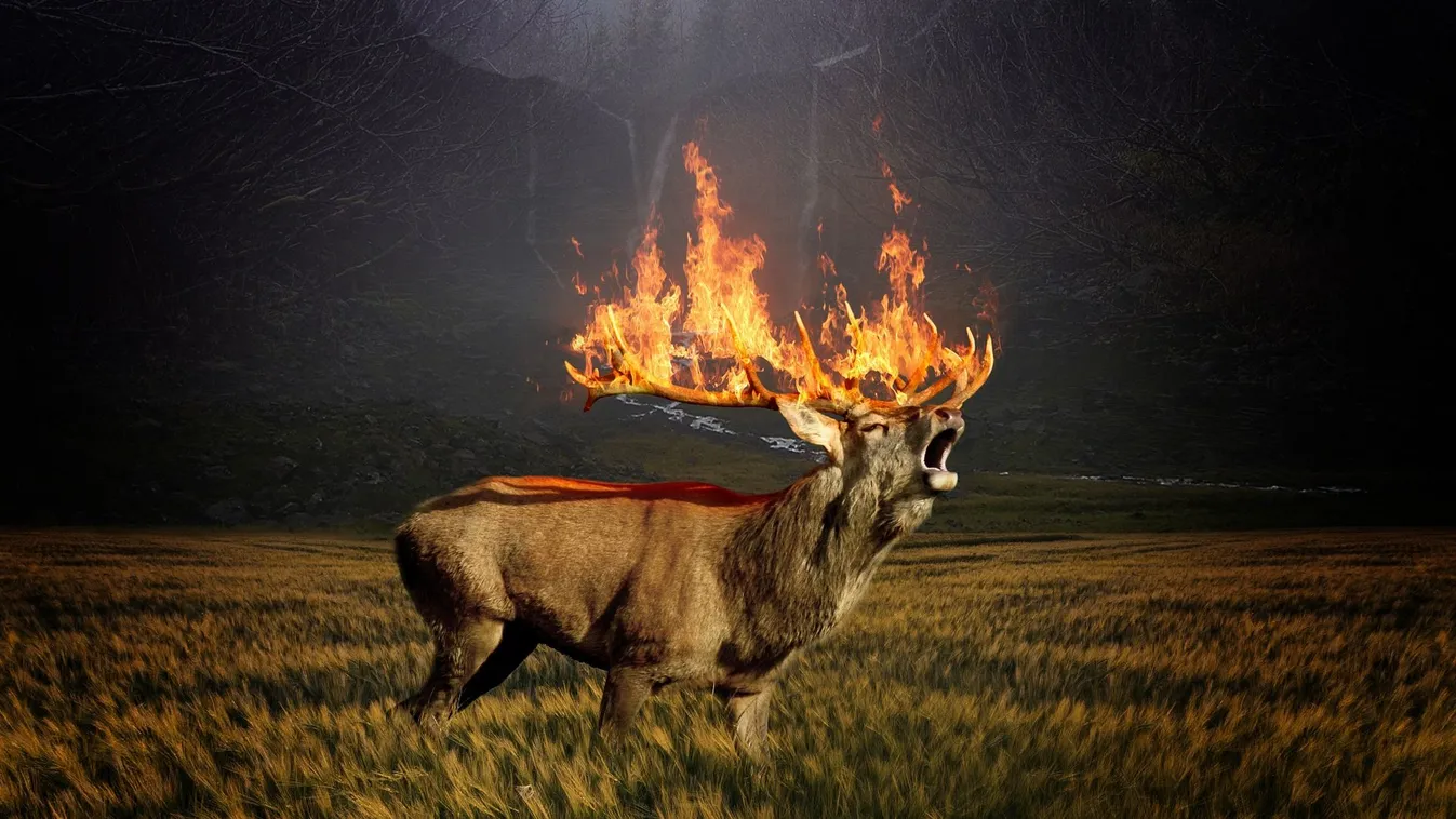 Videó a szibériai erdőtüzek brutális pusztításáról