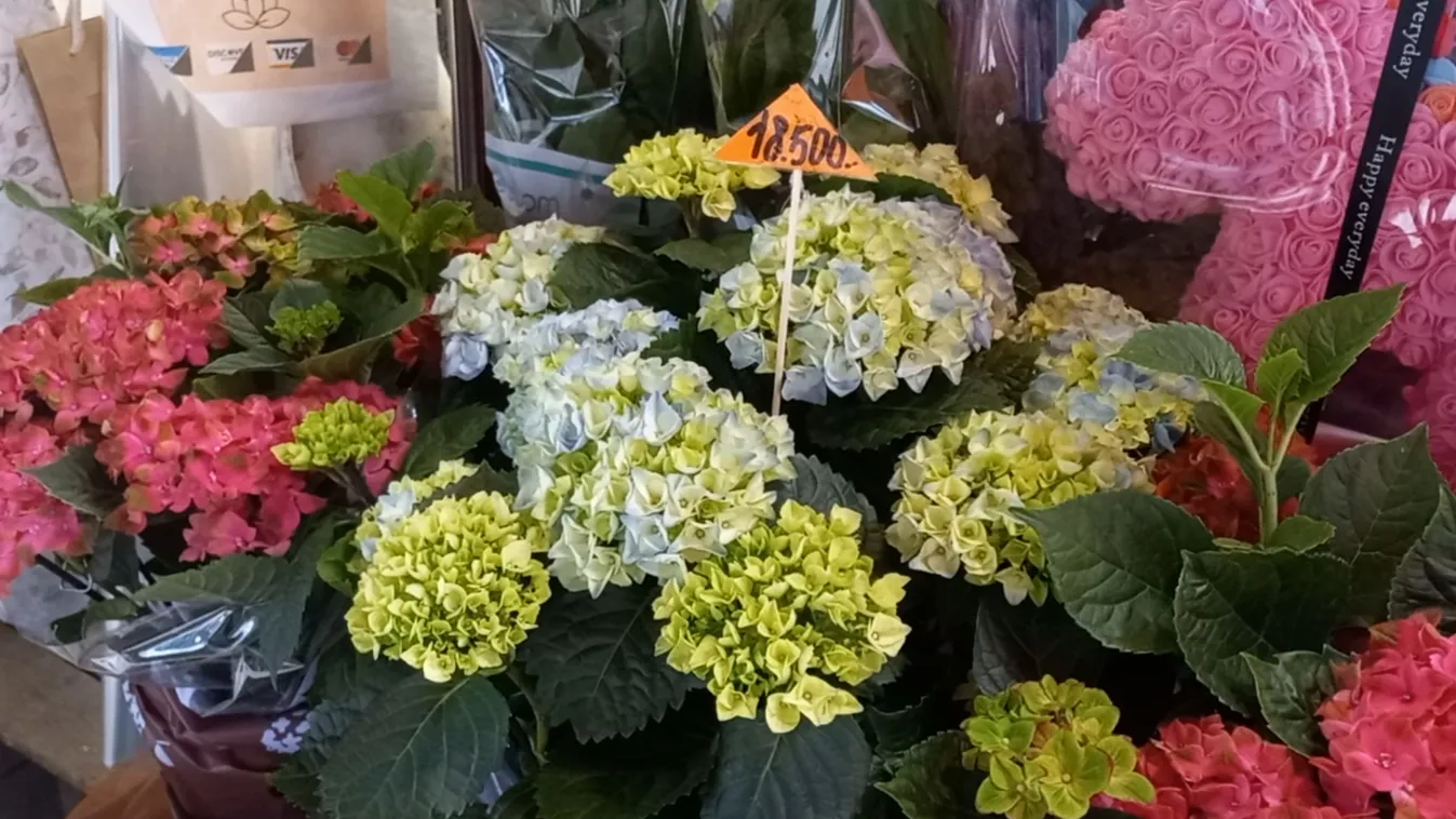 Anyák napja: Hol érdemes virágot venni?