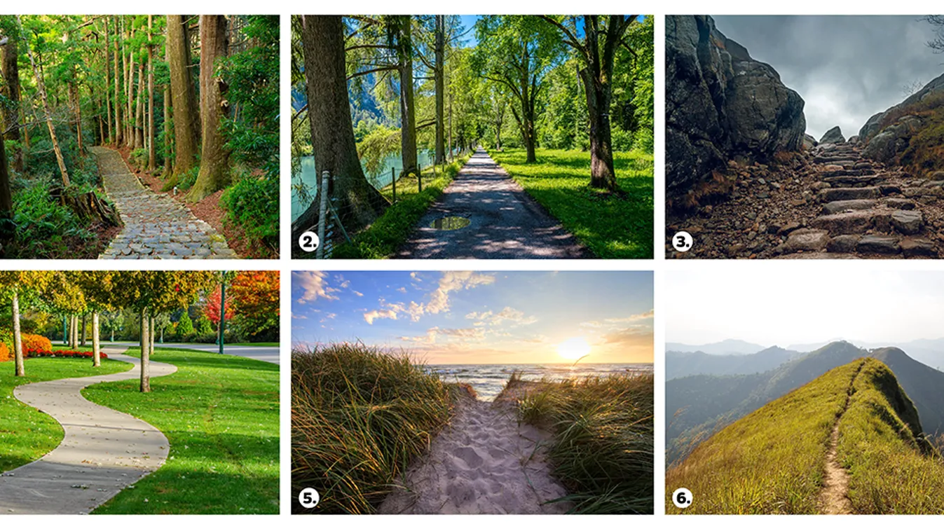 Melyik ösvényen indulnál el: megmutatja személyiséged