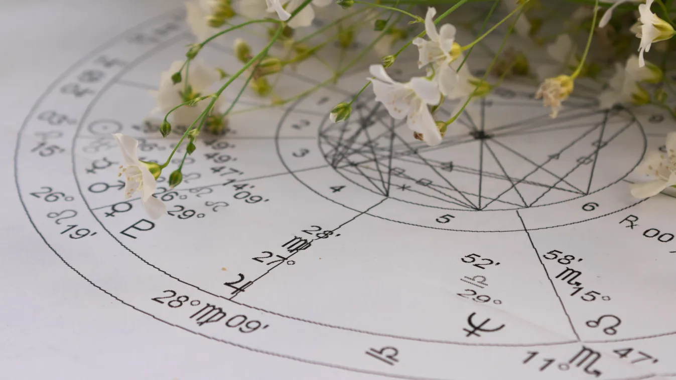 Gyógynövények a tavaszi fáradtság ellen