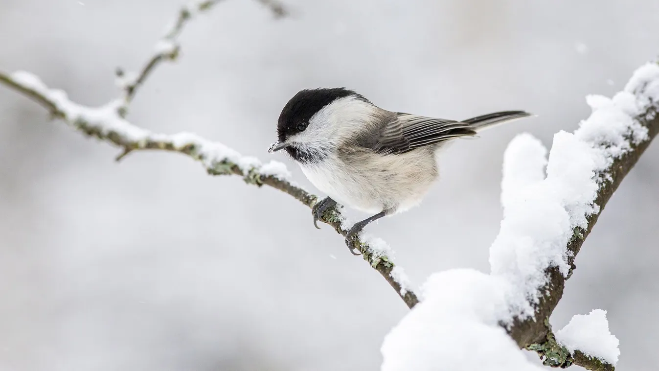 Hétvégén megdőlt az országos hidegrekord, mi jöhet még ezután? Mutatjuk!