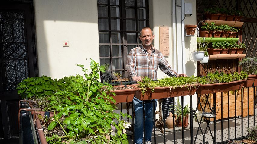 Hihetetlen, mit termeszt István a IX. kerületi lépcsőház gangján - Fotók