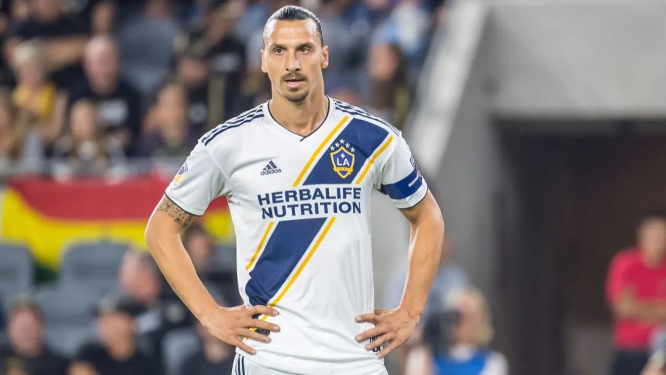 Teljes a káosz, Ibrahimovic a barátjáért aggódik