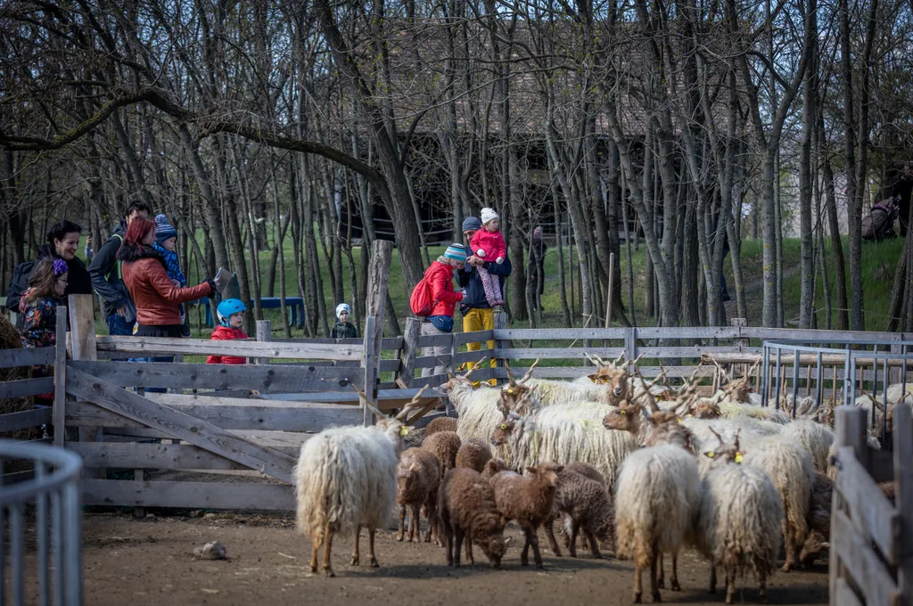 20220417 Szentendre, Skanzen Húsvét. Fotó:Bánkúti Sándor