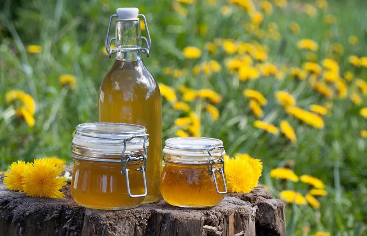On,An,Old,Stump,Cans,And,A,Bottle,With,Dandelion