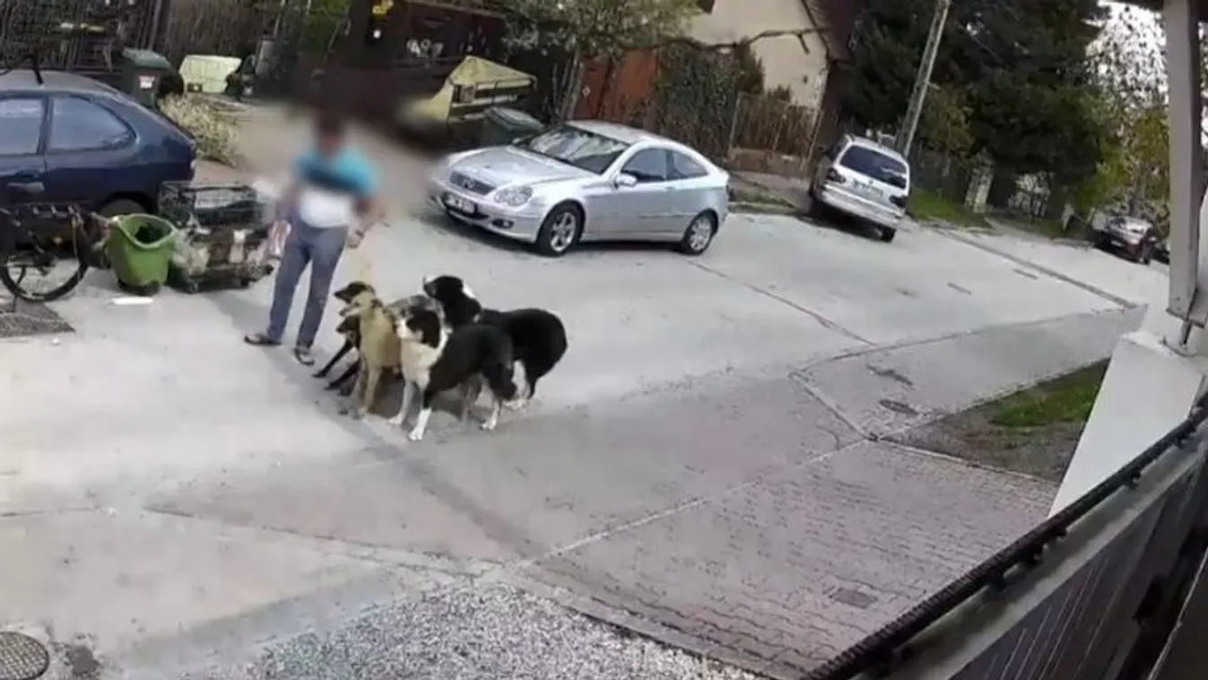 Felkavaró videó: Mindenkit rettegésben tart a budaörsi férfi