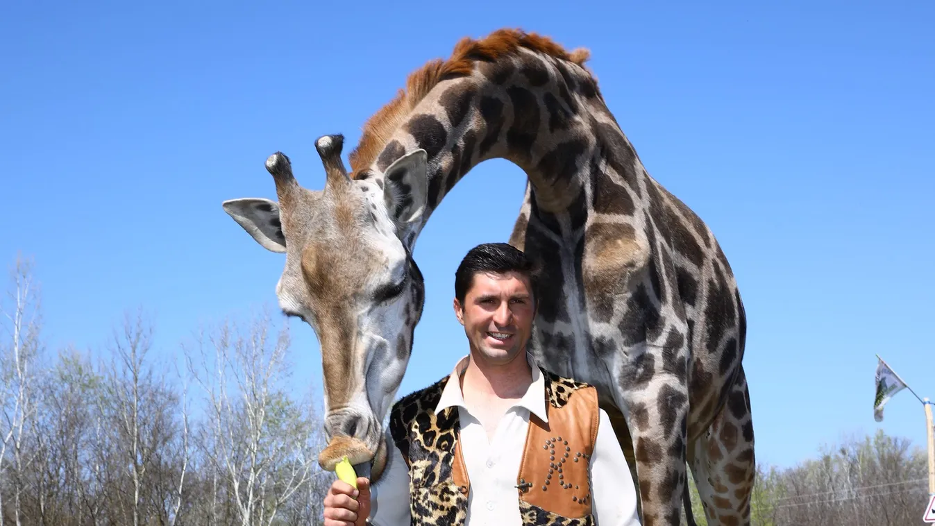 Cirkuszi állatok menedéke lett az új magyar szafari park