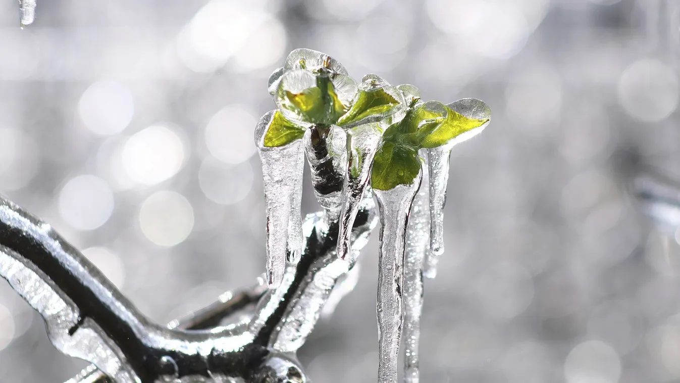 Berobban a hideg húsvétra