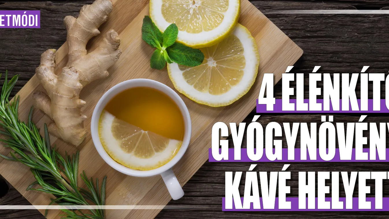 4 élénkítő gyógynövény kávé helyett