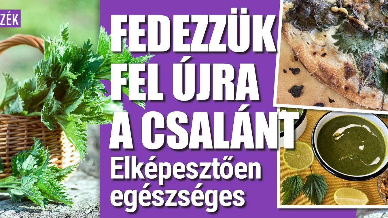 Fedezzük fel újra a csalánt, elképesztően egészséges
