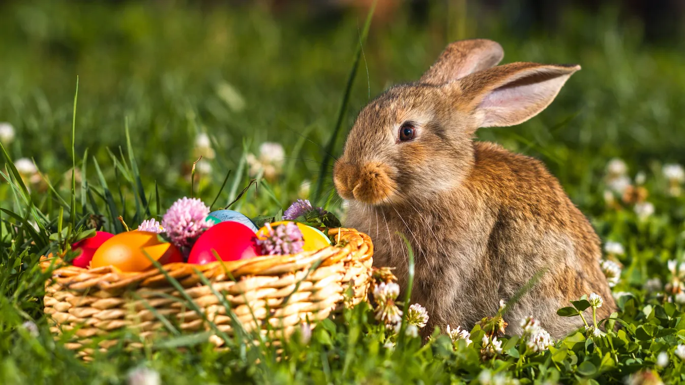 Így lesznek nyitva a boltok húsvétkor