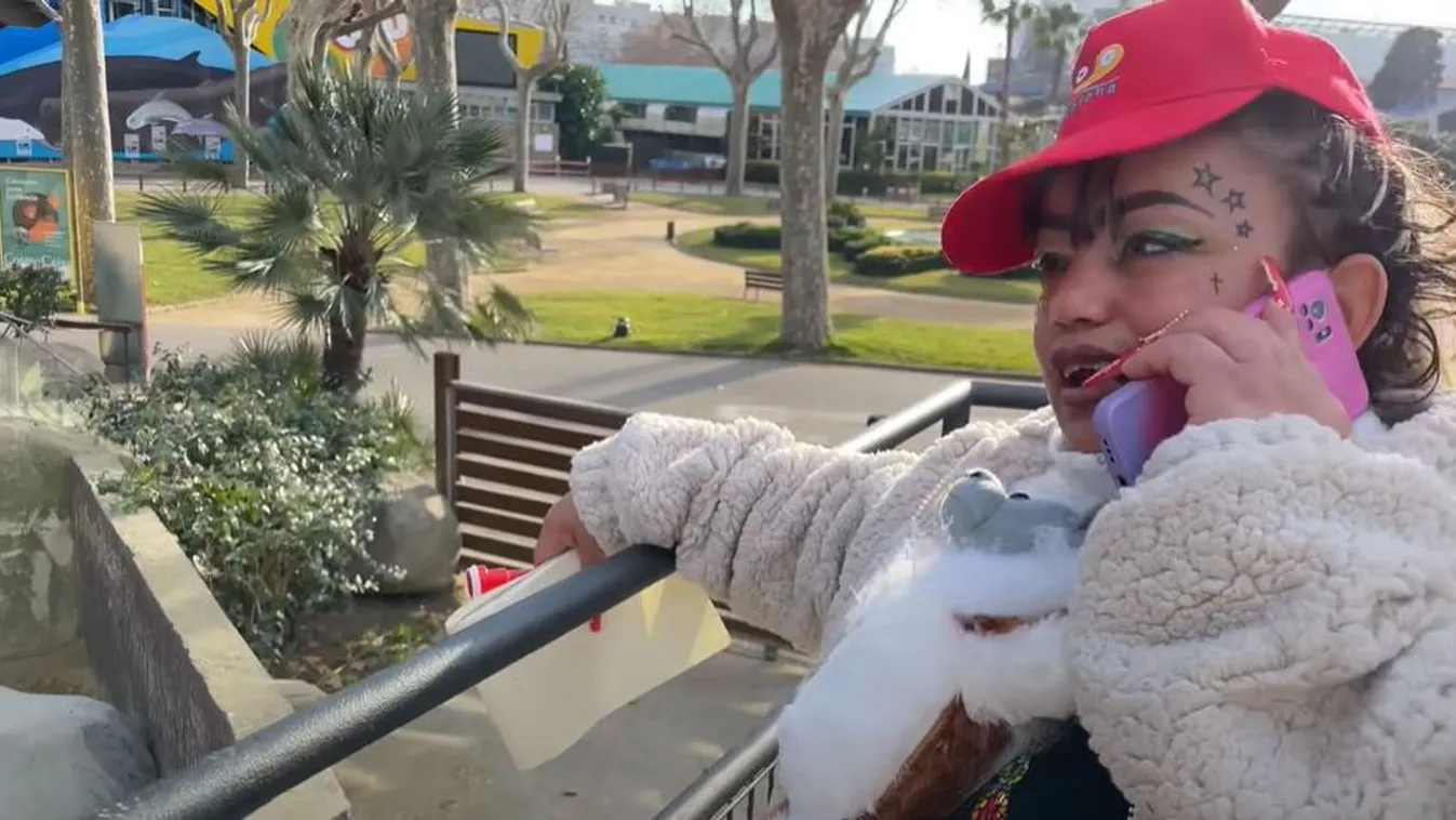 Egy éve tehetetlenek az állatvédők Varga Irénnel szemben