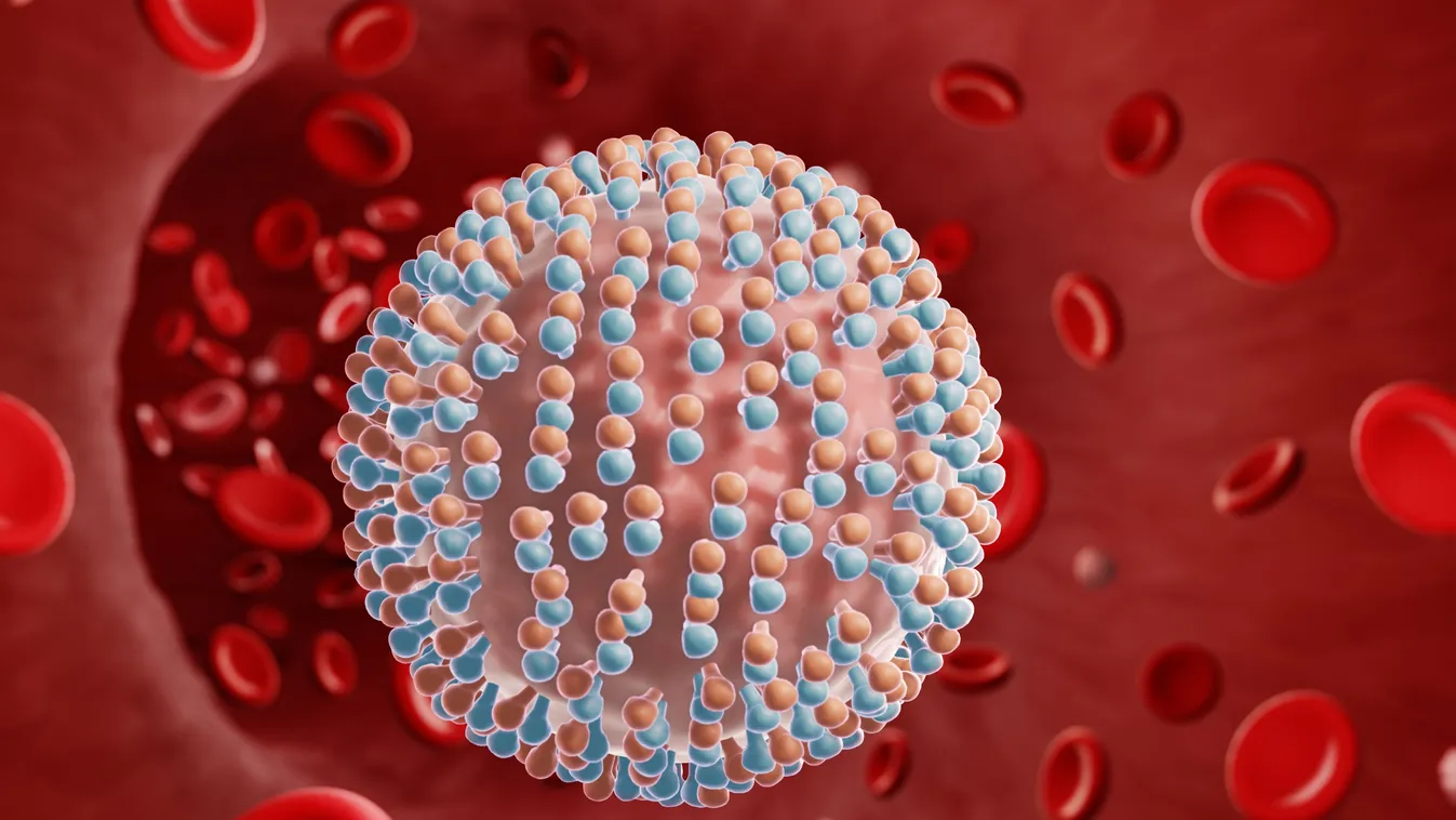 Budapesttől 250 km-re is jelentettek Hepatitisz-fertőzést