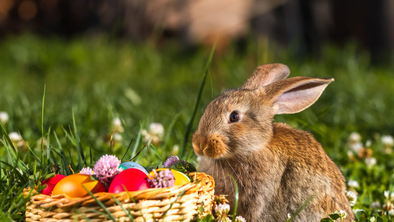 Meghökkentő húsvéti szokások, hamarosan érkezik az ünnep