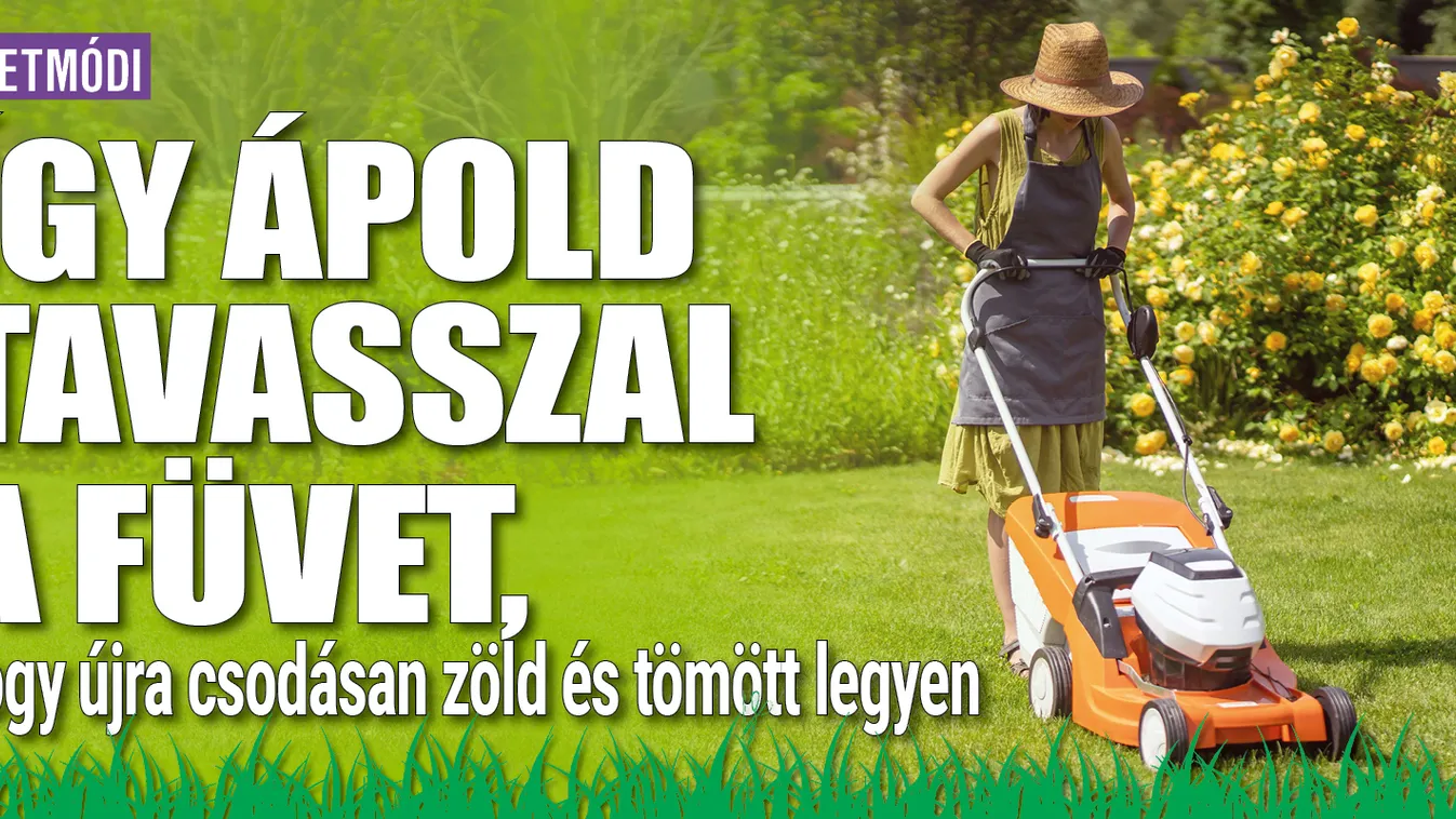 Így ápold tavasszal a füvet, hogy újra szép legyen