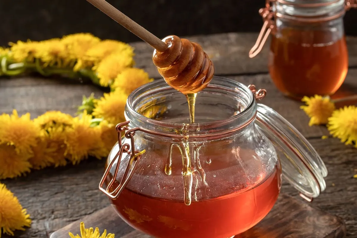 Honey,Dipper,Over,A,Jar,Of,Dandelion,Syrup