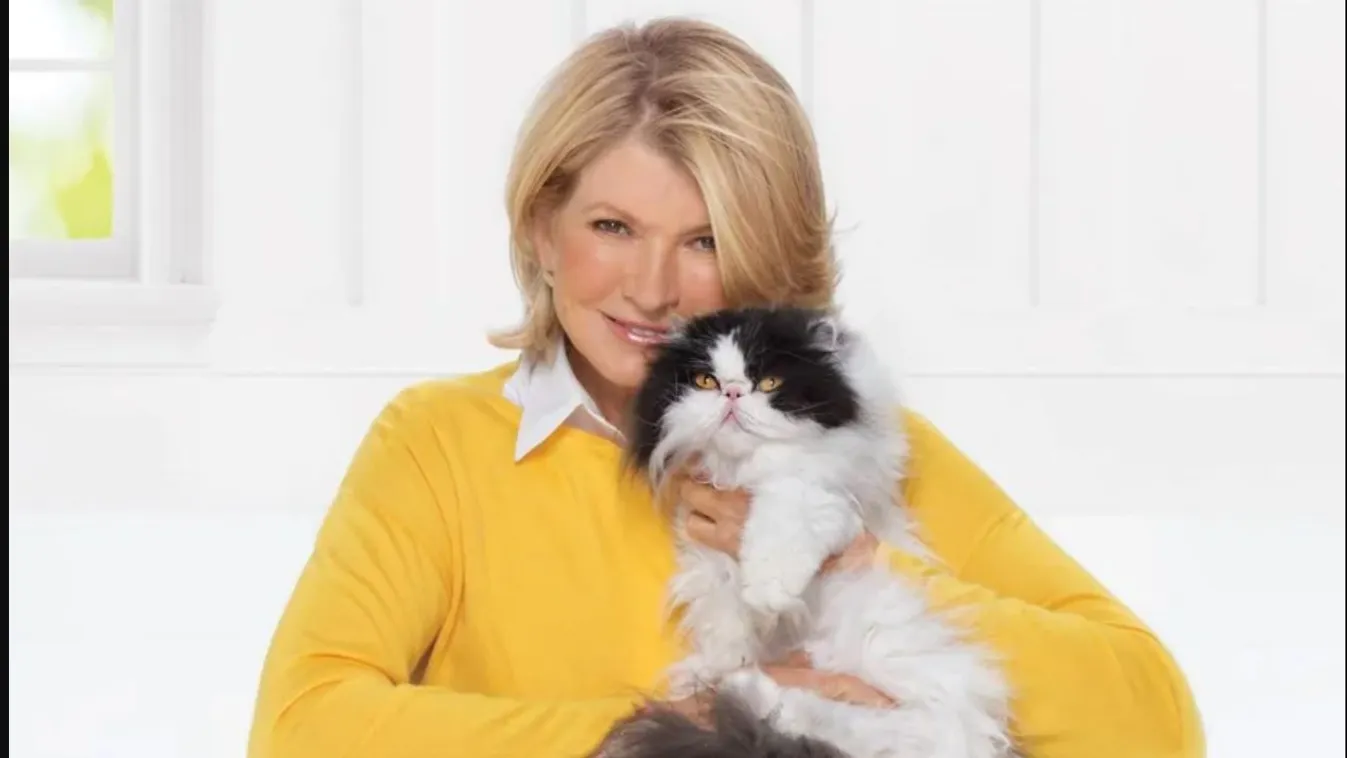 Brutális gyilkosság áldozata lett a konyhatündér macskája